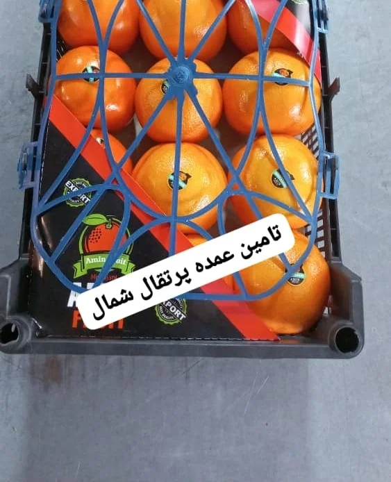 کنترل کیفیت پرتقال