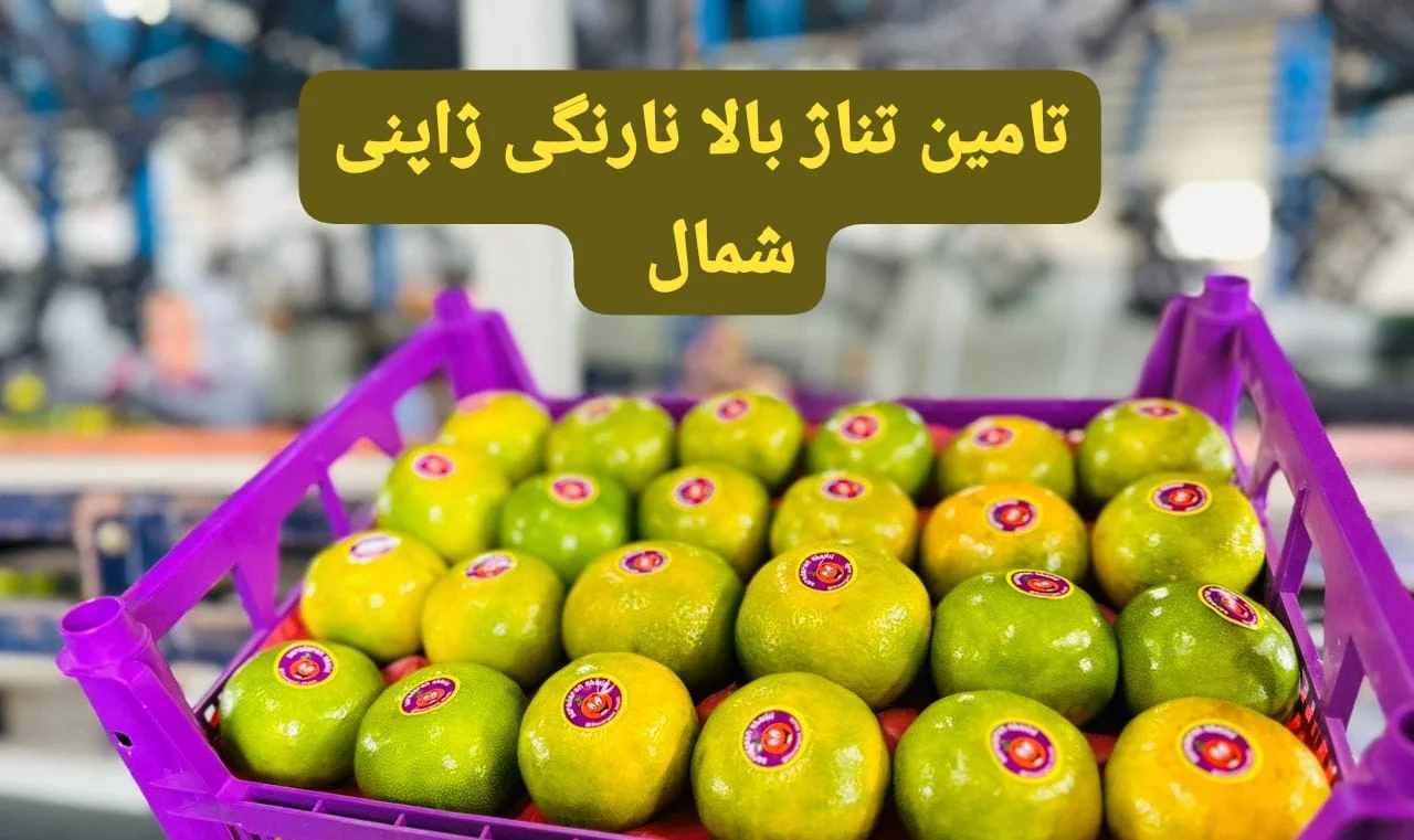 باغات پرتقال در شمال ایران