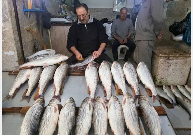 مزارع پرورش ماهی Zagruse