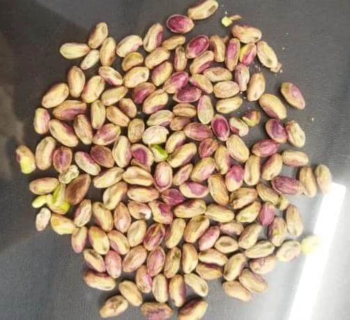 کارخانه مغز پسته Zagruse