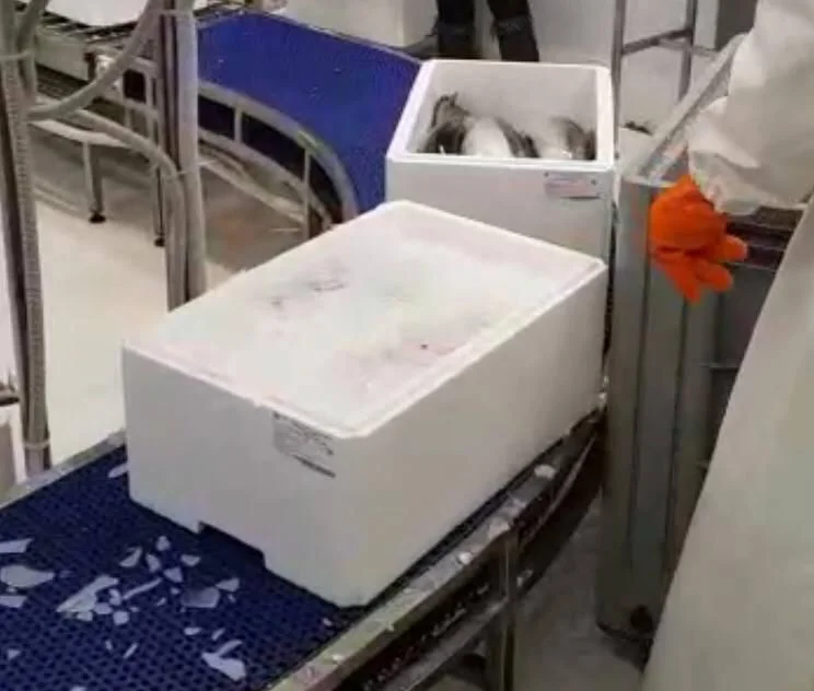مزرعه پرورش ماهی
