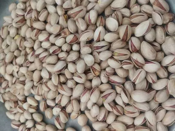 پسته صادراتی