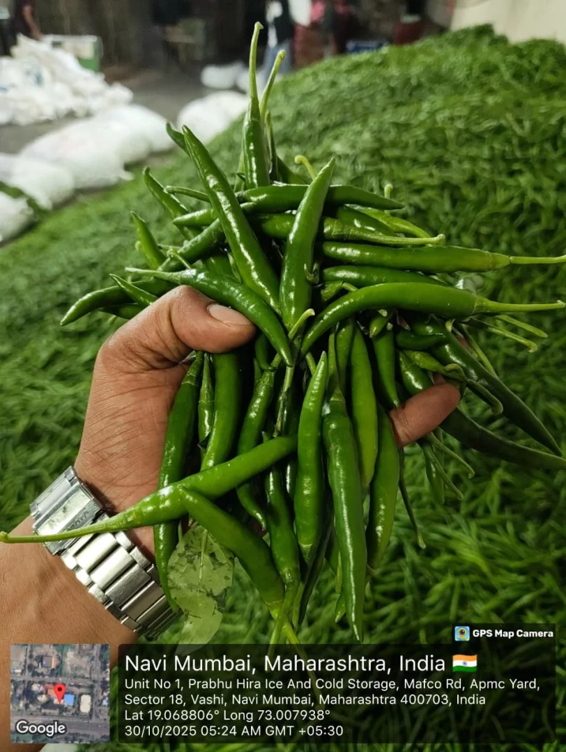 بسته‌بندی محصولات