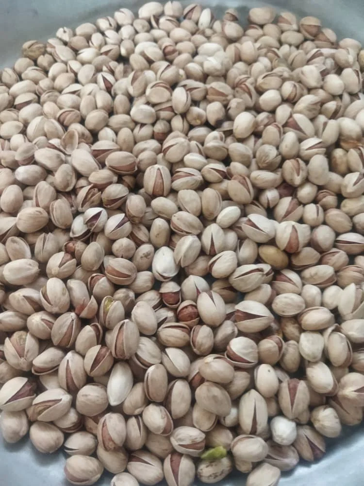 پسته فندقی