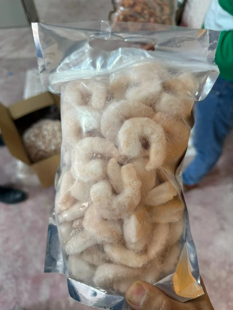 میگو ببری