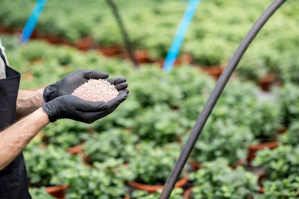 Urea prill export to Africa, China and Europe — Zagruse urea plant