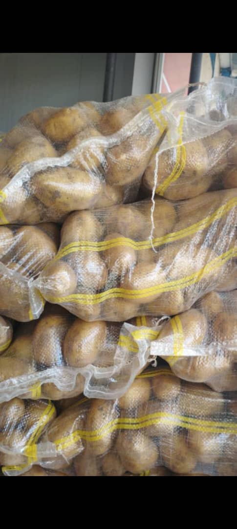 Exportación de papa Agria a Omán y Rusia - Papas iraníes premium Zagruse