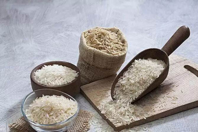 صادرات برنج هندی و پاکستانی Zagruse | برنج باسماتی به عراق و ایران