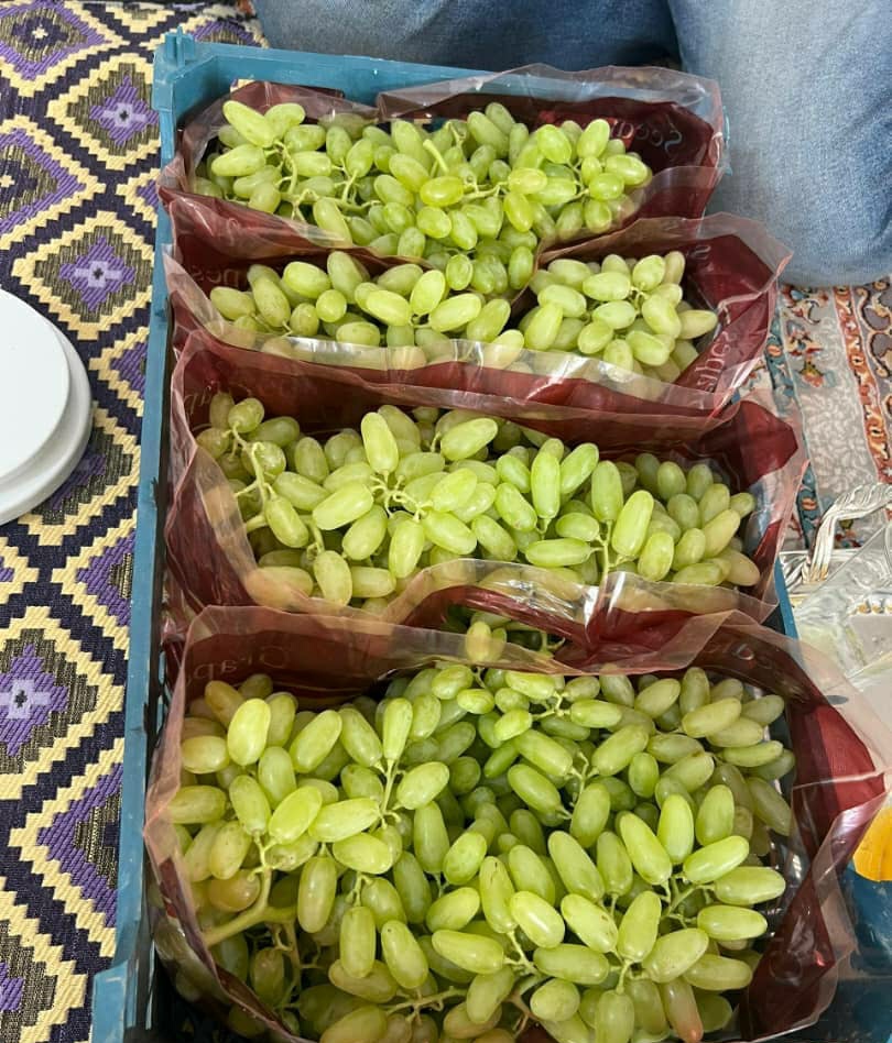 انواع میوه صادراتی Zagruse