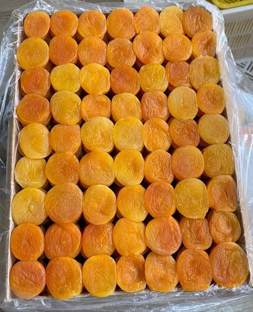 جودة مضمونة