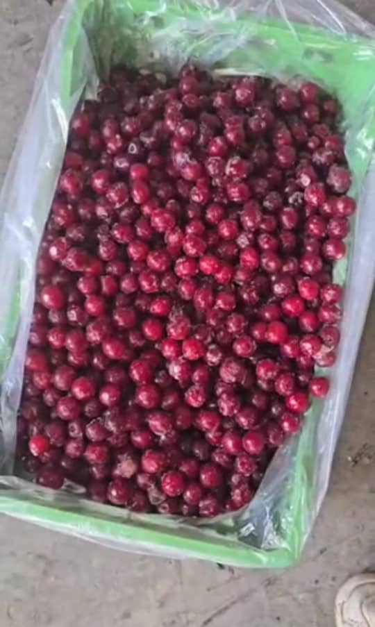 خط إنتاج متطور