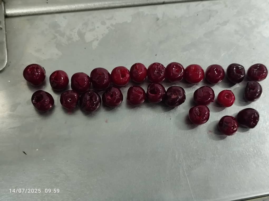 خط إنتاج الكرز المجمد