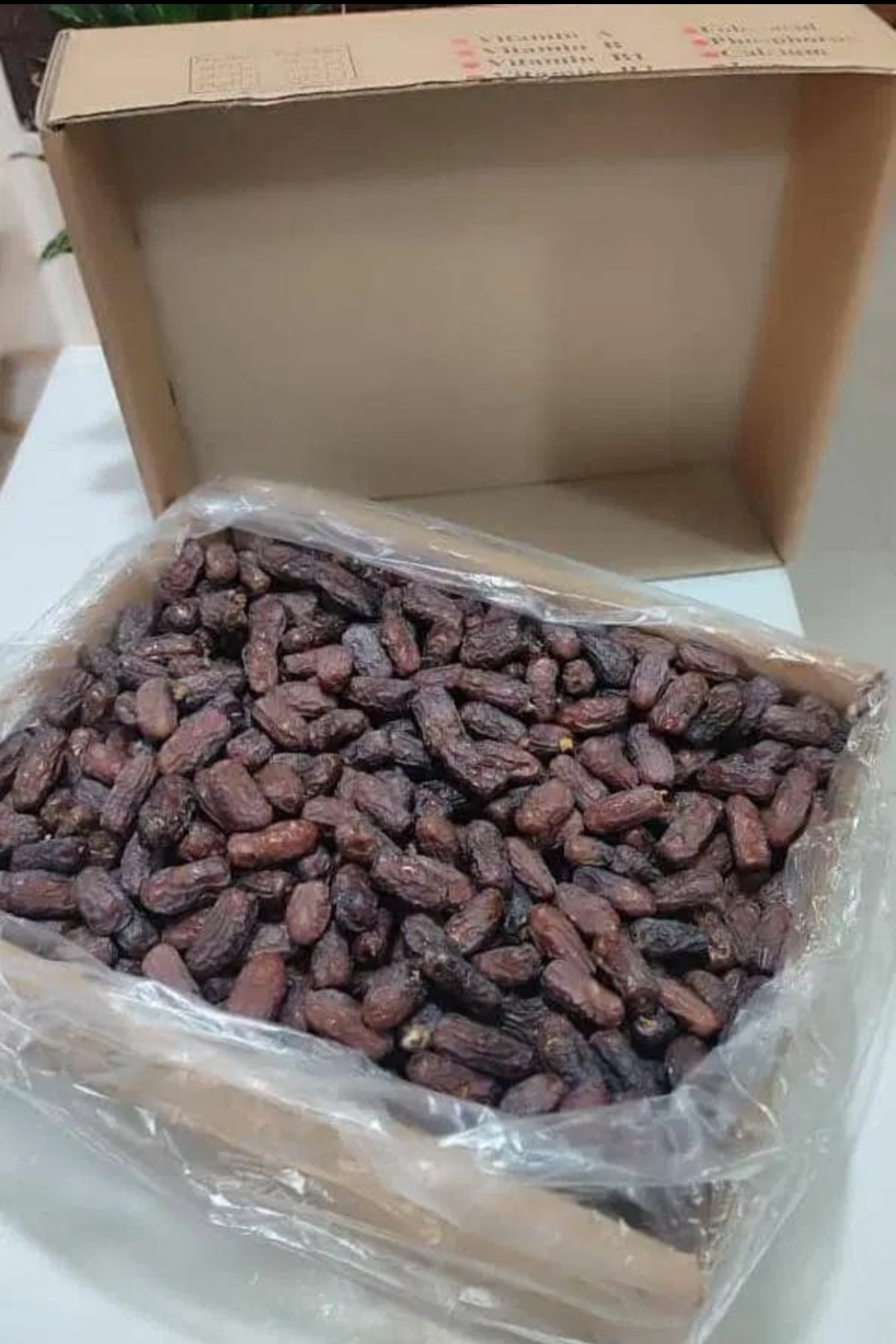 خط الإنتاج