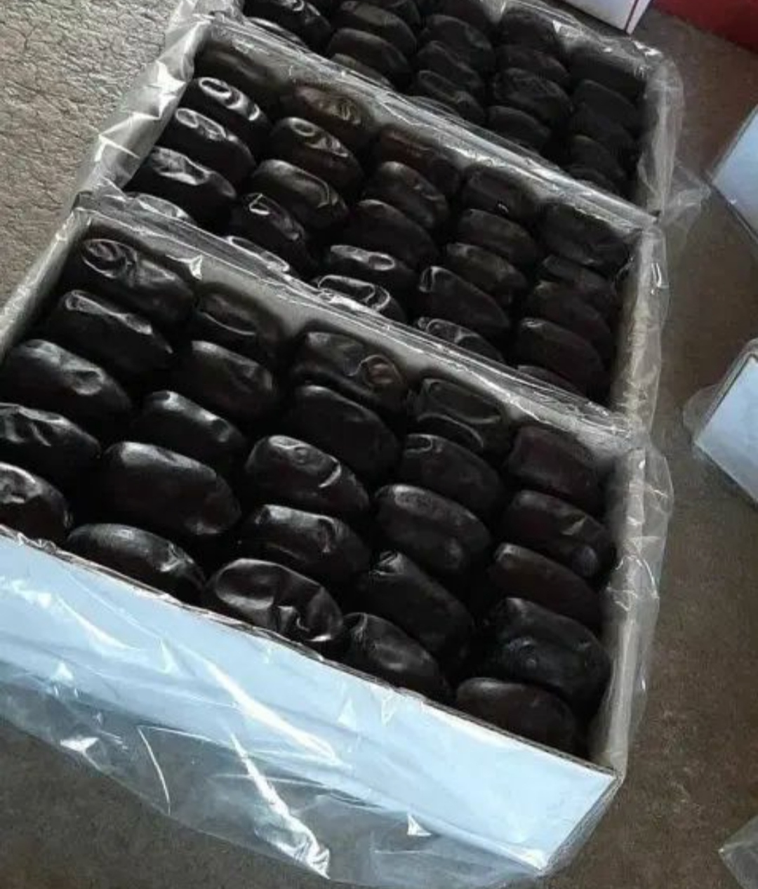 تمر زاهدي عالي الجودة