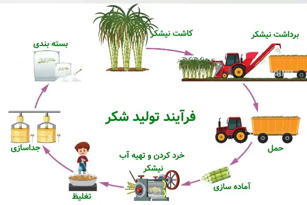 عملية إنتاج السكر