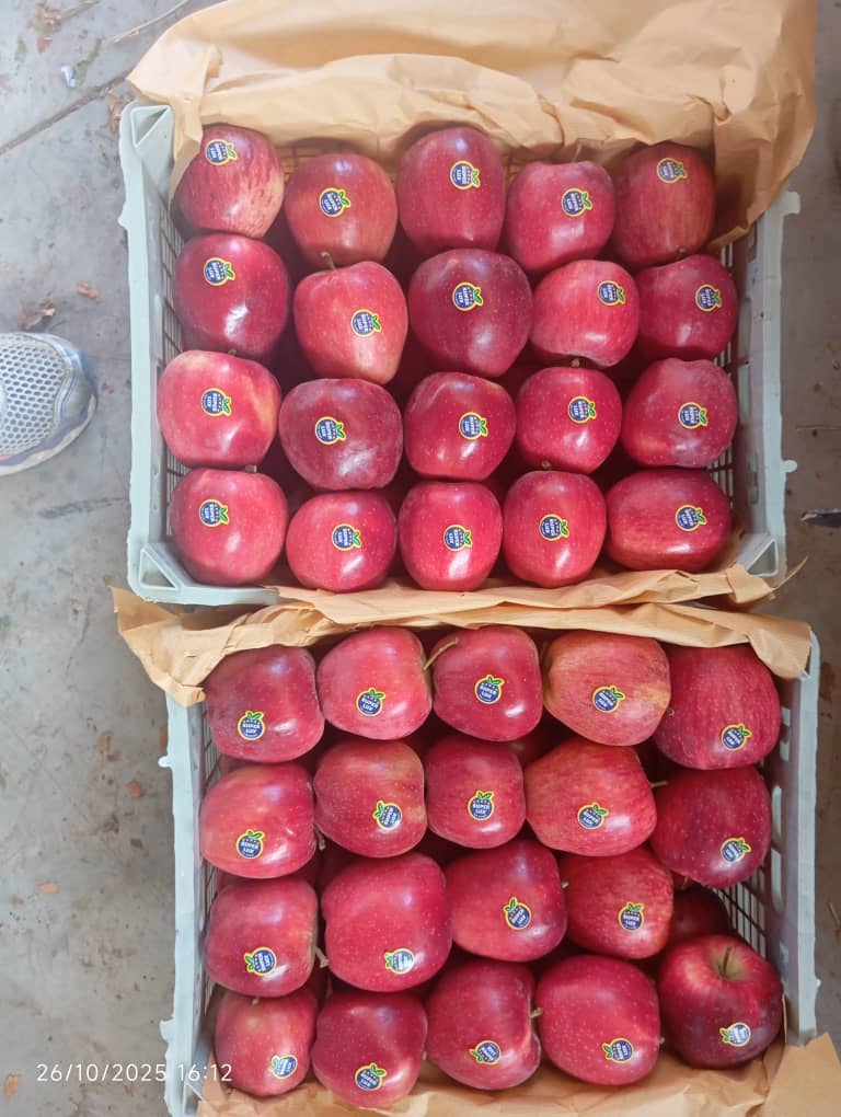 بسته‌بندی سیب برای صادرات