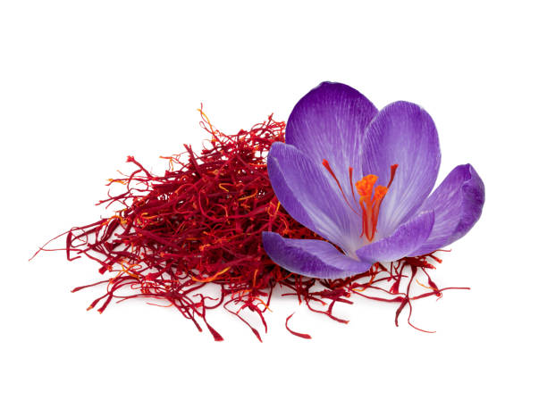 بسته بندی زعفران برای صادرات