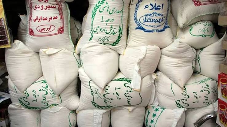 مزرعه برنج شرکت زاگرس